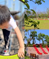 这个公园适合野餐,花多还有娃儿耍的
