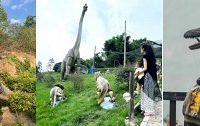 五一去哪儿玩?小朋友最爱的,重庆10大恐龙园