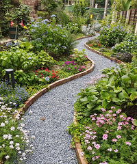 Ļ԰걬˺ܶྪϲٻΪ