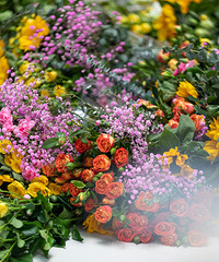 ���ﻨ�����׻����ͼ���������䡢��Ů�α�diy���ն��ܺ���