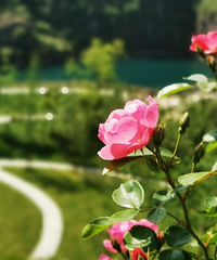 µĿɽ԰̫˰ɣ¼ڣĩȥ