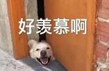 朋友圈里总有那么些人感觉不用上班