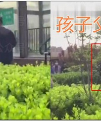 1岁幼儿被狗扑倒其父当场摔死狗!