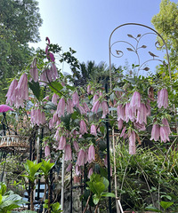 150ƽԺ˼ʮֻһ֦ܿһ