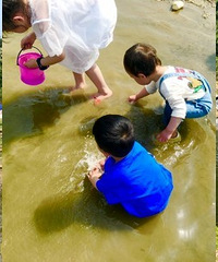 适合玩水的露营地,小鱼小虾捉不完