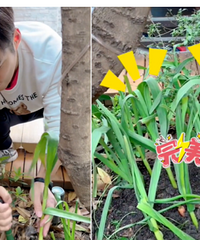 ���鱩¶�������ǵġ��˼���ʵ��