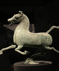 ����֪����̤�����������ʲô����