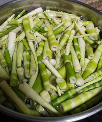 �����ӣ������ӣ�����è��