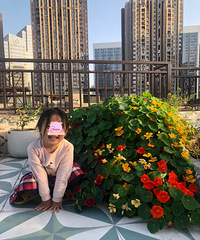 ɹɹҵļʽĻ԰Ͳ԰ϰٸƷ