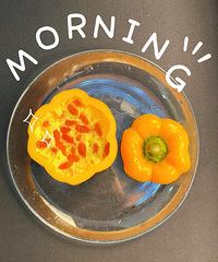 ����һ��ʳ�������Ŵ������ջ�ɢ���Ե��˳�������