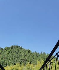 94��160CM�İ������������飬ϣ���Է�90~95��