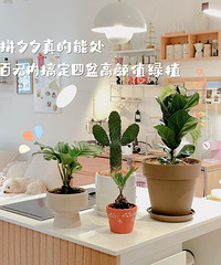 ƴϦϦ����ܴ�������Ԫ�͸㶨�������ֵ��ֲ