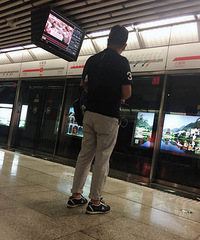 91��171CM��2ֻ���ĸ������飬ϣ���Է��Ը��ʴ�