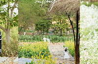 ���ǳ����ĵ�ũׯ����Ƭ���׽���Ȼ�����