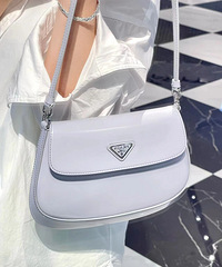 ��Ӧ�ò��ǵ�һ��֪��Prada Cleo���������ɫ�İɣ�