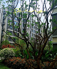 Ϊÿܶ˯СʱңѼҴõͼ