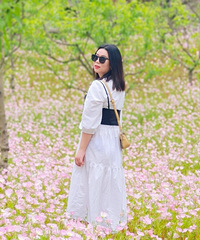 �����¼��ݻ�������