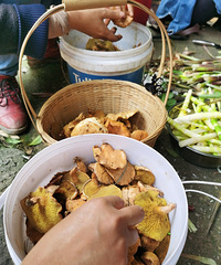 С¶ӪõطѵСϺժӣˬ