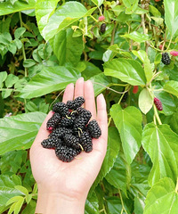 ӡժɣݡ¶ӪҰôˣһ̫ḻ