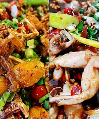 ����������ܺóԣ�2022������ܵ�ͼ��Ϯ��