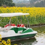 �̵��������ɫ�Ĺ�԰