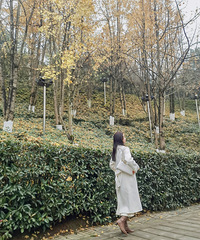 91��167CM����һֻ��è�ķ����������飬ϣ���Է�������