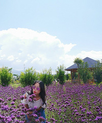 86��160CM����ʦ���飬ϣ���Է��������