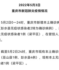重庆新增本土确诊病例1例