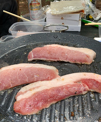 ���¶Ӫ���в�����ˮ����ͽ����Ұ