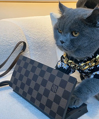 猫猫都在买lv电脑了,我们还在为买个lv包考虑?