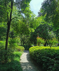 ι۲ݡ乫԰ôųʵ죬ֵ