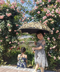 南川除了漫山杜鹃,还有这个新晋玫瑰园,美翻!