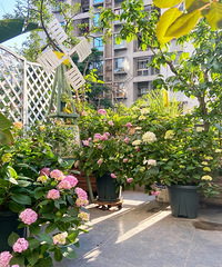 չľֹDIY糵ɹĵС԰̫