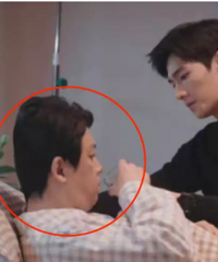 ����ͷ��������ж���ţ�����ɹ�ղ��ϡ���ʽ�²�̫����