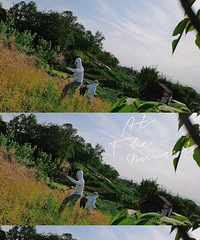 �����ɻ��������Ͷ�����٣�