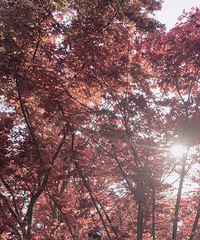 91��160CM�������С������飬ϣ���Է�����168����