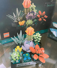 �ָ߻���̫�ʺ���������������ݲݵ����ˣ�