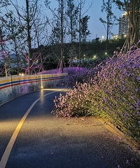 ѵĶͯ԰˭ܾܾأдƬ޲