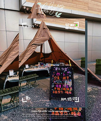 �ʺ����������������ÿһ���ר��������