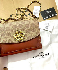 ���û�������Coachɽ�軨