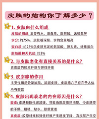 ��������С֪ʶ������ѧϰ