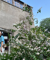 96��163CM��ҽ���������飬ϣ���Է����ɾ�������