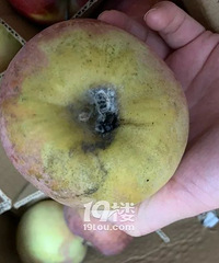 拼多多上网购水果一半是坏的,商家拒绝退换,理由竟然是……