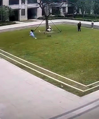 女孩被未拴绳小狗狂追30秒,狗主人全程冷眼旁观