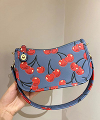 COACH����³���520ӣ�ҿ�ʽ�ù�