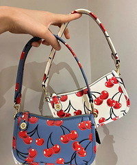 COACH����³���520ӣ�ҿ�ʽ�ù�