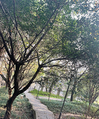 �����糿��ɽ����ɽ���̫�����