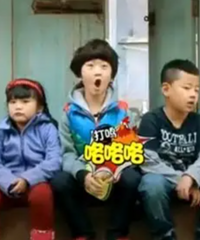被网暴毁了的国民综艺,越想越可惜