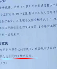 妻子出轨所生女儿,案重审判离,女方赔男方37万