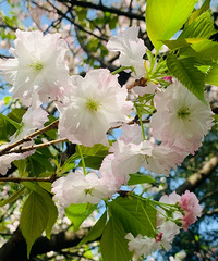 86��158CM������ҵ��С������飬ϣ���Է�83~89��